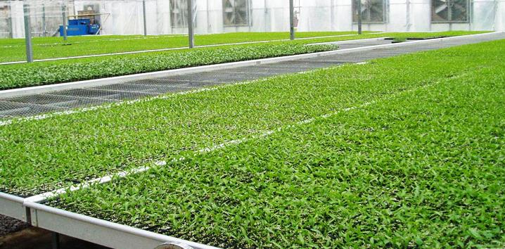 1567998521877766.jpg 360截圖20190909111344100.jpg