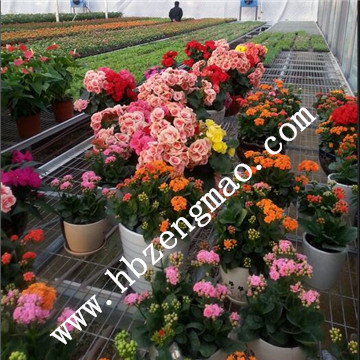 <a href='/' target='_blank'><a href='/' target='_blank'>溫室苗床</a>網(wǎng)</a>廠家 <a href='/' target='_blank'><a href='/' target='_blank'>溫室苗床</a>網(wǎng)</a>廠家